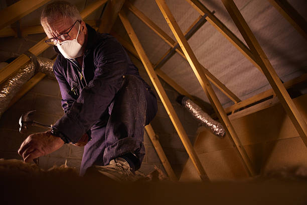 Best Insulation Materials and Products in North Fork, AZ