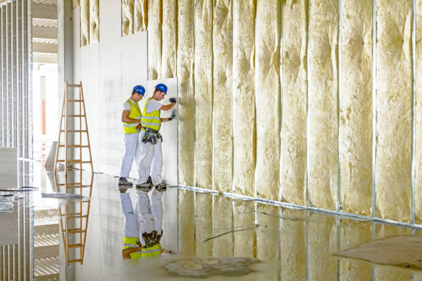 Best Insulation for Specific Applications in North Fork, AZ